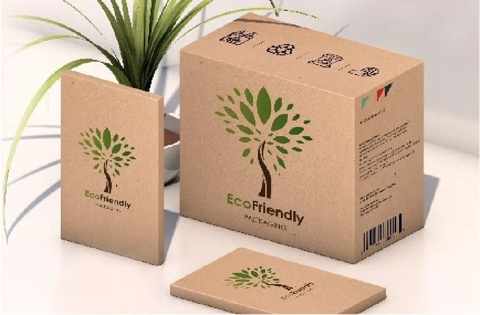 Eco Friendly Product Packaging